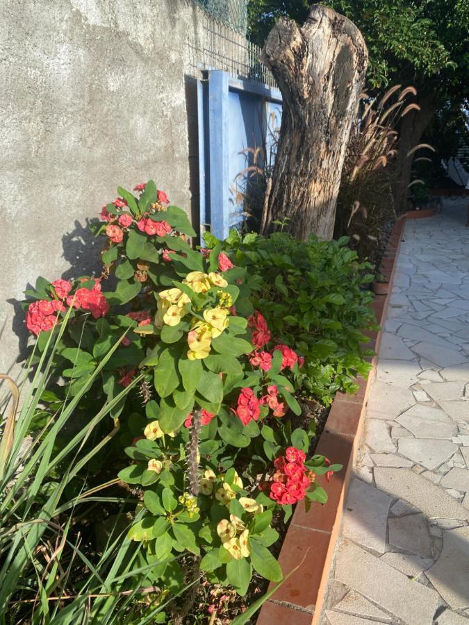 Au Pipiri Leve Apartment Schoelcher Bagian luar foto